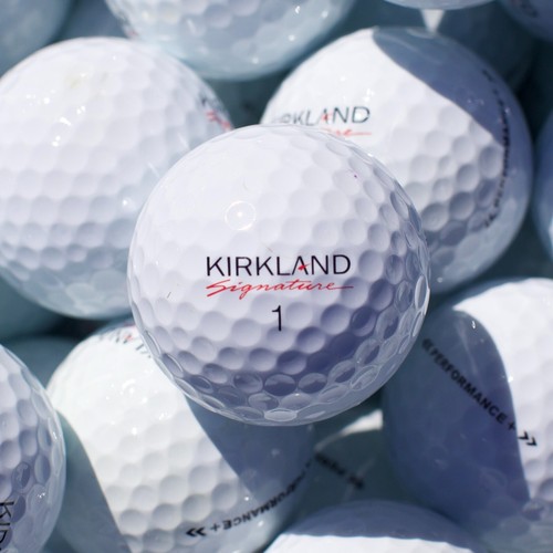 100 kirkland signature - 100,